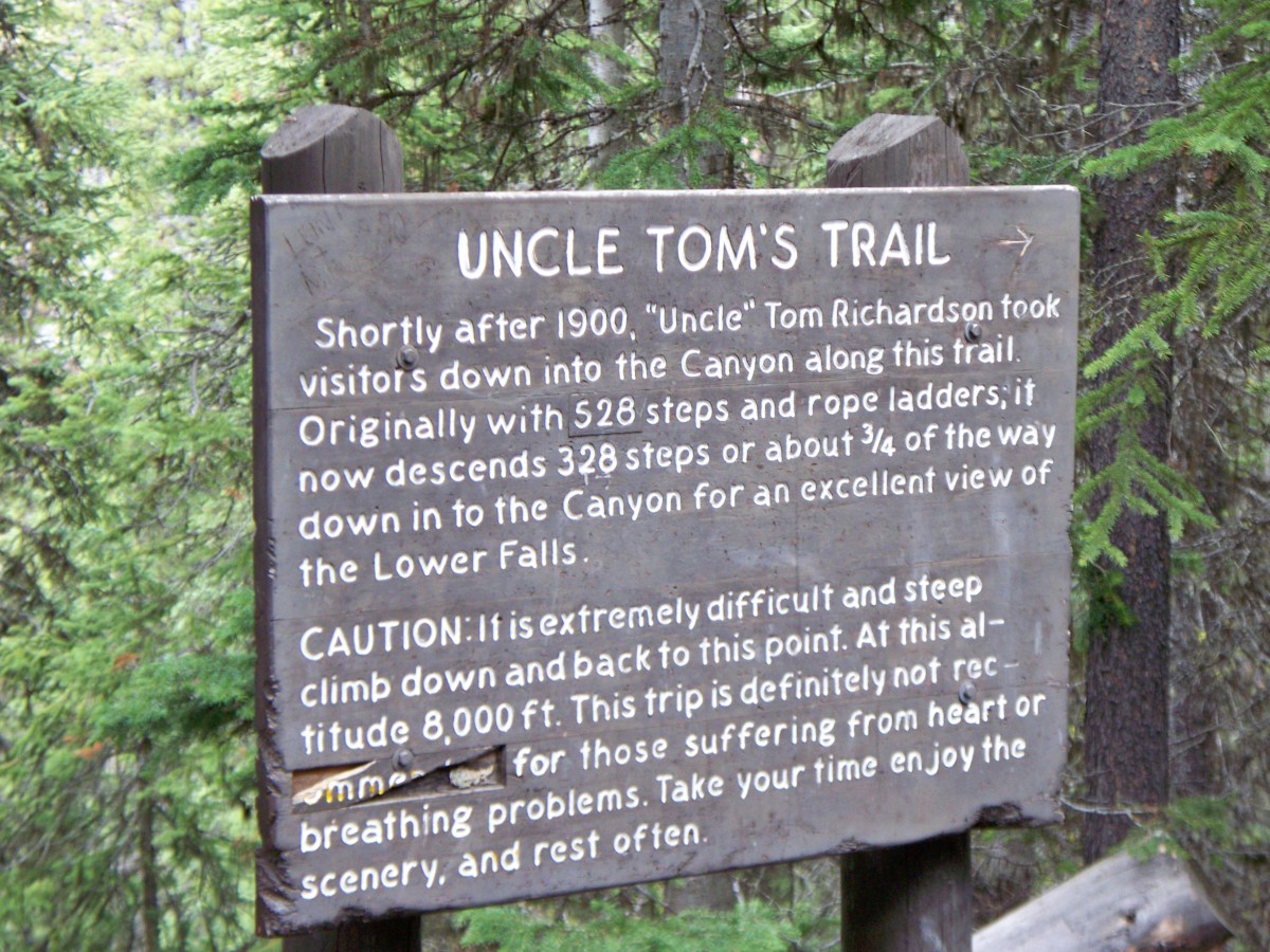 Lower Falls - Uncle Tom's Trail @ Yellowstone National Park