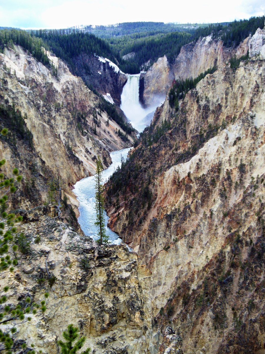 Lower Yellowstone Falls from Artist Point @ Yellowstone National Park
