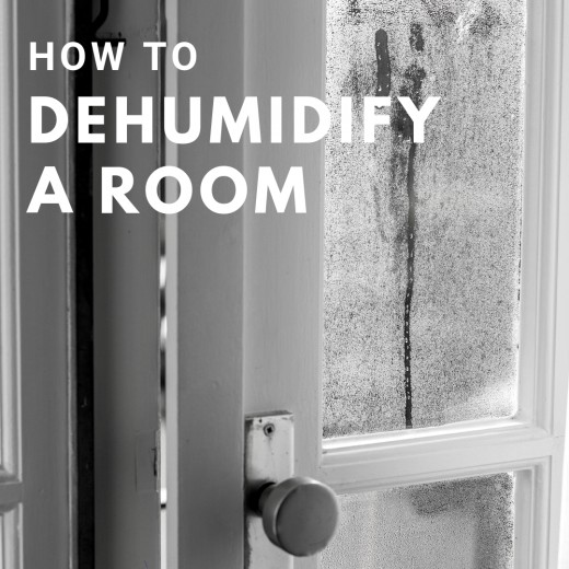 How To Dehumidify A Room Naturally Dengarden