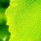paulmkarst profile image