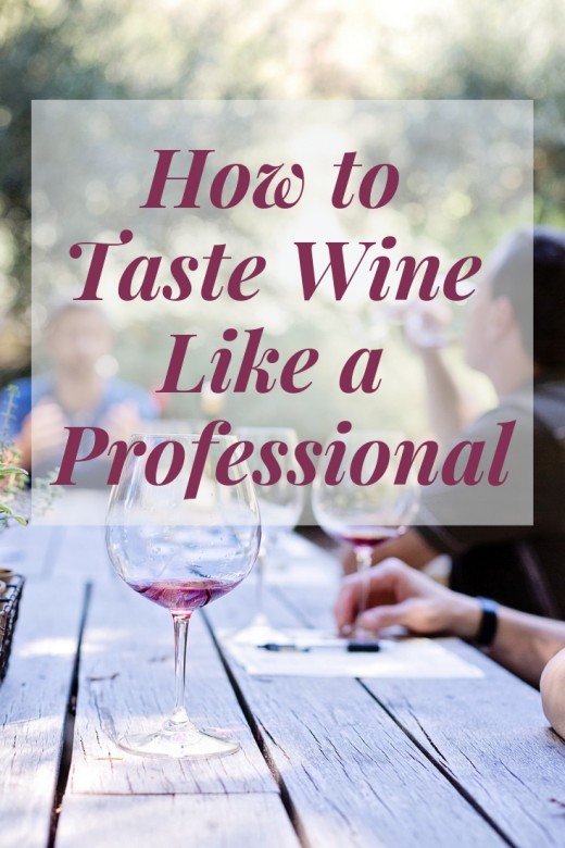 10 Wine Tasting Terms for Beginners and How to Taste Wine Like a