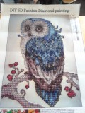 My New Favorite Hobby