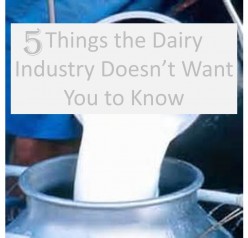 5 Things the Dairy Industry Doesn't Want You to Know