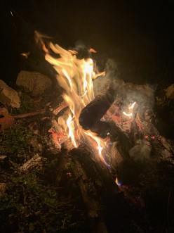 Backyard Fire Pits