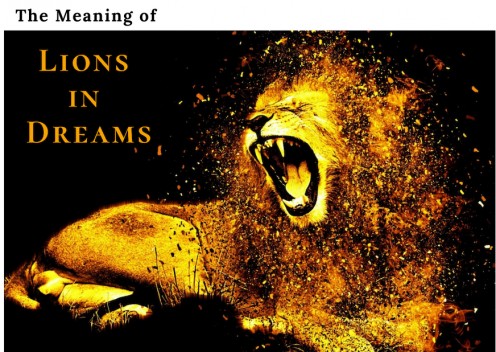 What Do Dreams About Lions Mean? 8 Meanings of Lions in Dreams What Do Dreams About Lions Mean? 8 Meanings of Lions in Dreams