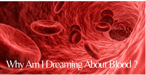 Blood in Dreams: What Do Dreams About Blood Mean? Blood in Dreams: What Do Dreams About Blood Mean?