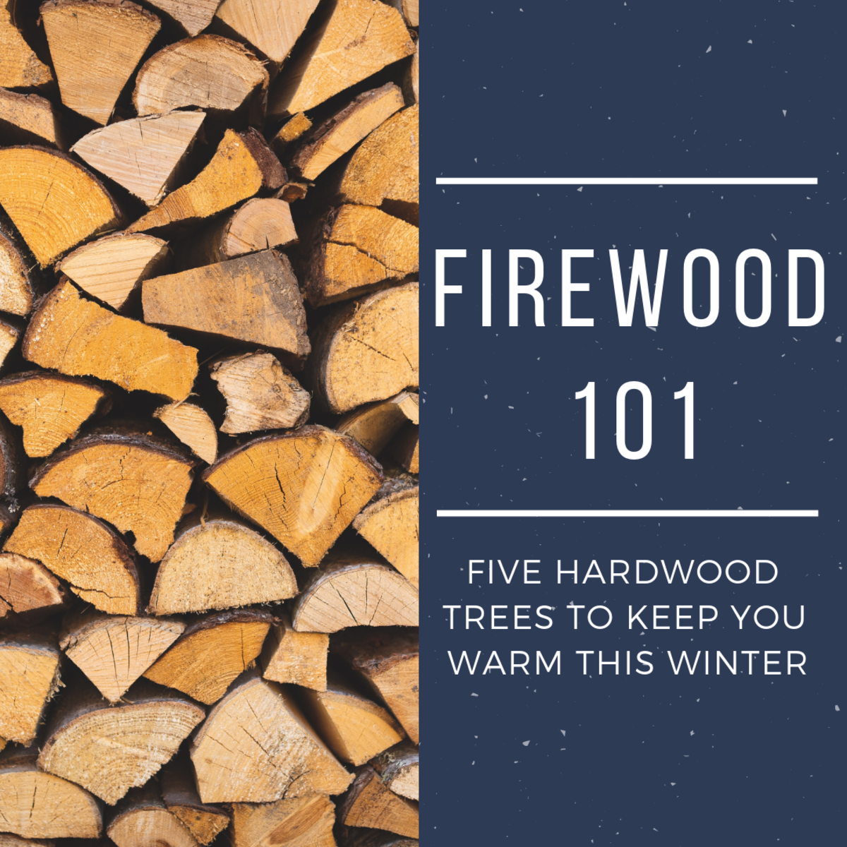 Best Firewood To Burn Chart