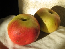 These apples are a pear!