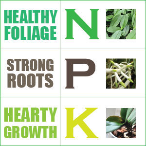 This a simple way to remember what your Nitrogen Phosphate and Potassium add to your plants.With proper care and love you can create a beautiful garden by starting with the base. The dirt. With the use of NPK you can greatly increase your yield for a