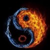 paulattewolla profile image