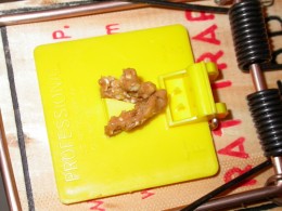 Mouse Trap Bait Peanut Butter