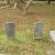 Gravestones in the Bruton Parish Church  cemetery, November 2014.