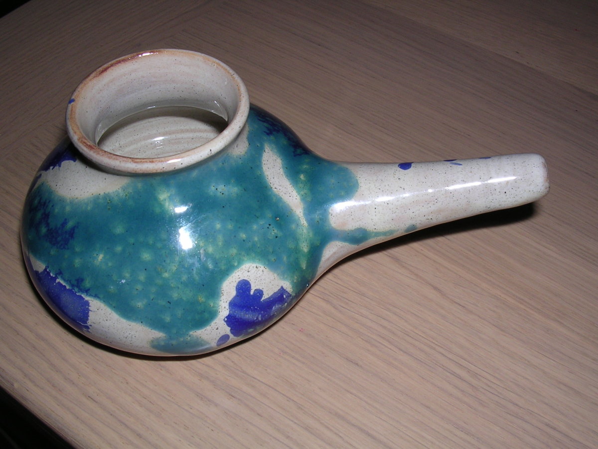 Neti pots are excellent in cleaning out your sinuses.  However, only use distilled water.  Never us tap water.