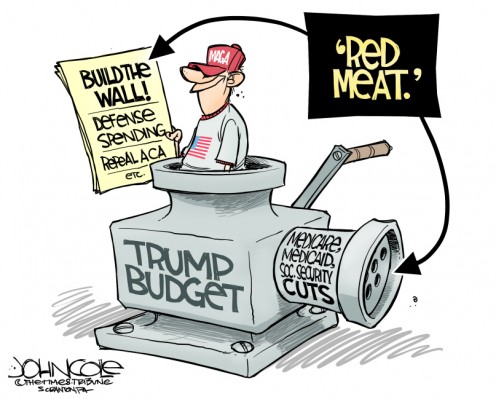 Political Cartoon