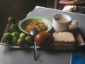 Eating Food Rich in Organic Nutrients to Transform Energy