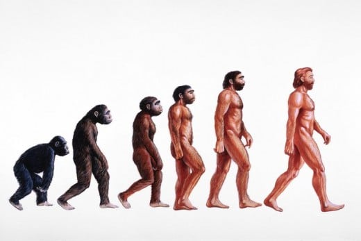 Charles Darwin's theory of evolution