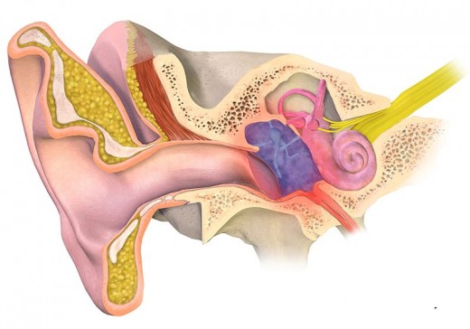 Middle ear infection