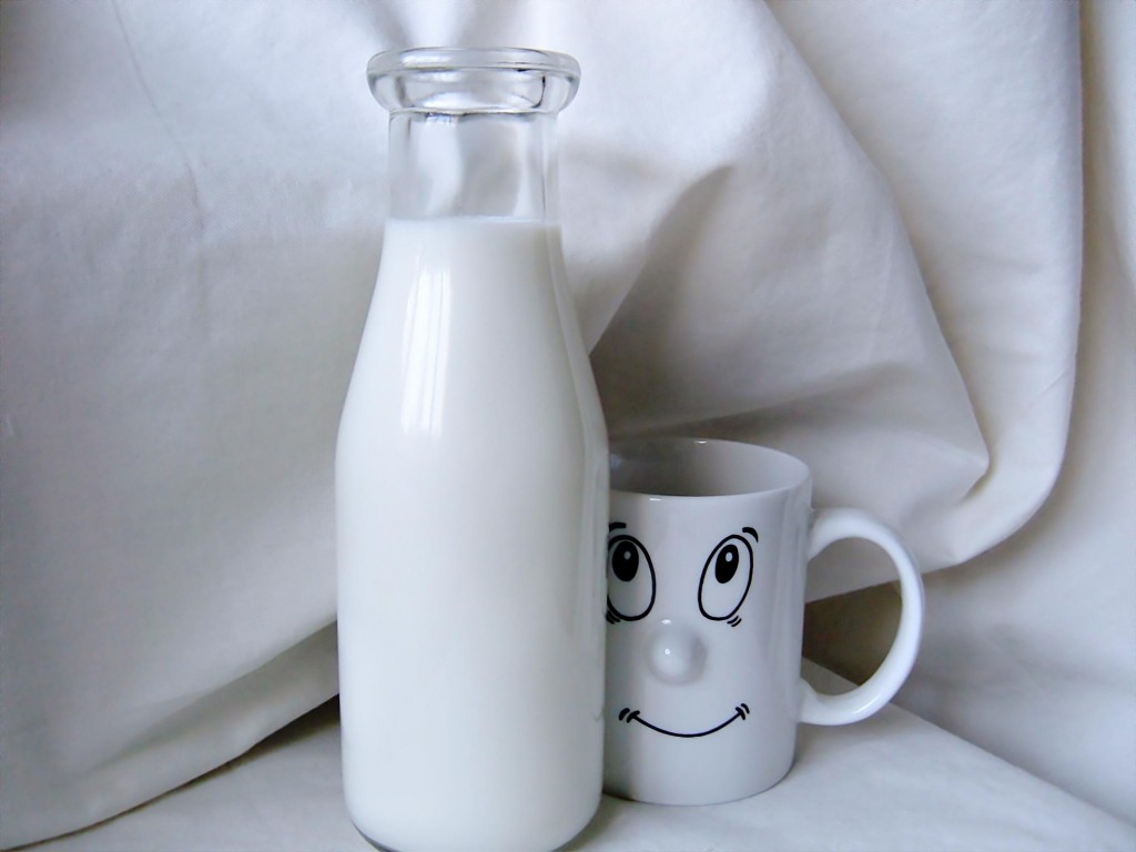 learning-new-spanish-words-milk-leche-hubpages