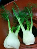 The Health Benefits of Fennel