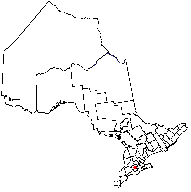 Map location of Woodstock, Ontario  