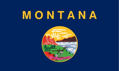 State flag of Montana