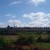 Ideal location for starting a goat Farming Ideal location for starting a goat Farming