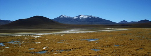 The Altiplano