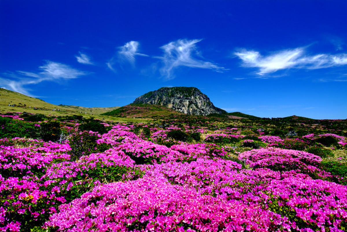 Halla Mountain in Jeju-do