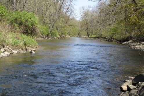 A typical creek during the settlement period