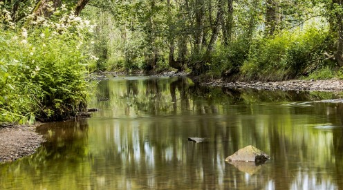 The creeks ran through their land