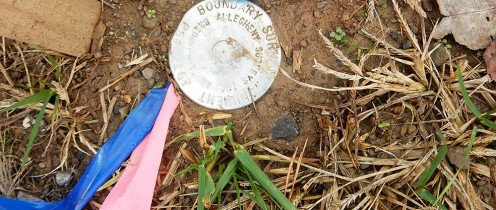 Each survey of land includes signs and symbols placed on the surveyed land