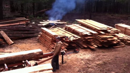 Typical sawmill output