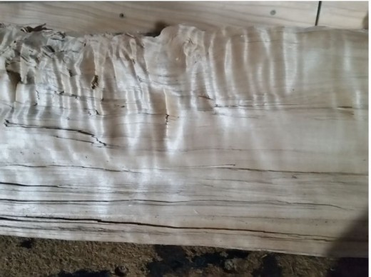grain on wood chunk