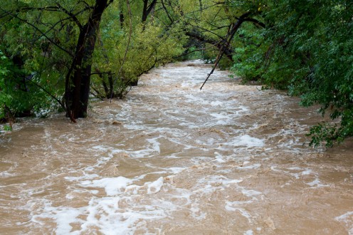 A flooded creek