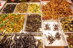 Bizarre Delicacies in Southeast Asean Countries