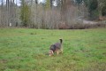 Travels with Maggie: Recognizing Limitations