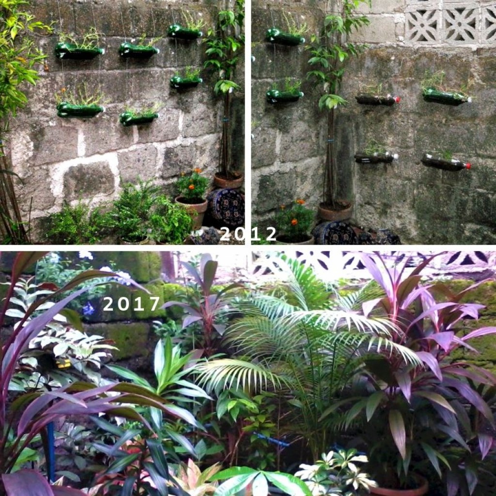 starting a small garden – a filipino gardener's experience | hubpages