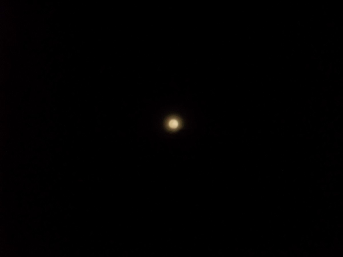 Full moon seen at night.