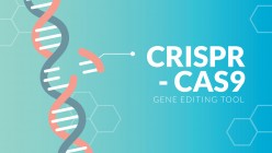 Crispr-Cas9 Technology