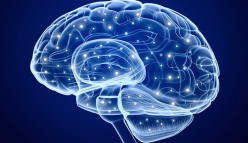 Mental Illness: The Brain You Don't Know