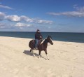 Don't Get to See Your Horse Until the Weekend? What to Do in the Meantime!