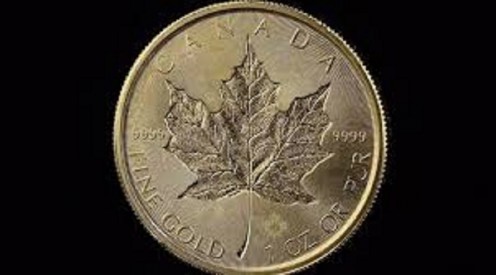 A very pure Canadian Maple Leaf gold coin.