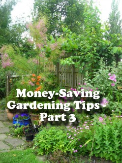 More Money-Saving Gardening Tips - Part 3