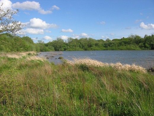 A photograph of Upper Bittell Reservoir taken in 2005.