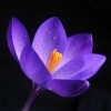 HappyKay001 profile image