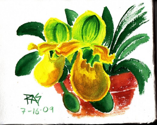 Green Orchid, watercolor 8 1/2" x 11" from a photo reference by Paulafy on WetCanvas.com, painted by Robert A. Sloan.