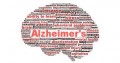 Alzheimer's Disease: A Poorly Understood Neurodegenerative Disease