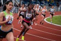 What Is Race? - Anthropology