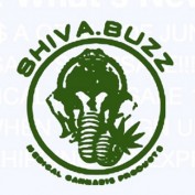 Shiva Buzz profile image
