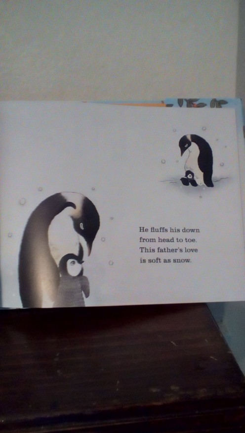 Penguin dad and his young one